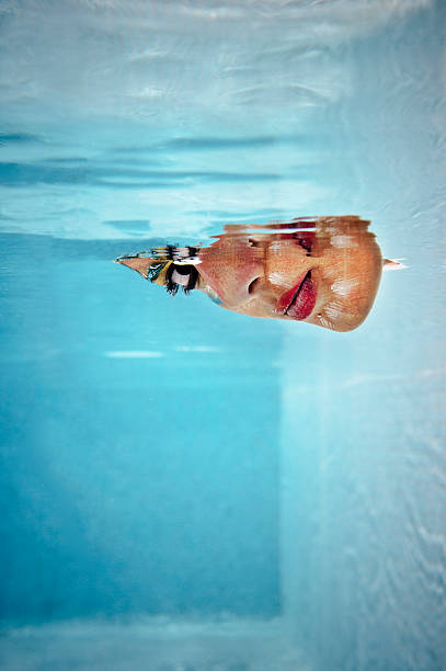 underwater beauty - fashion stock pictures, royalty-free photos & images