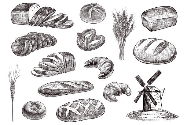 vector drawing of bakery products - food stock illustrations