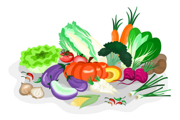 vegetable illustration on the white background shows the freshness of many types of vegetables for creating an illustration or poster of food. - garden decoration stock pictures, royalty-free photos & images
