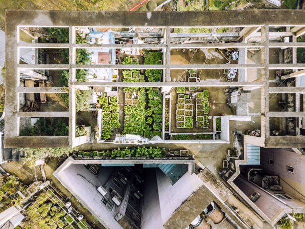 vue de point de drone du potager sur le toit - garden decoration photos et images de collection