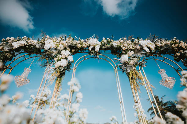wall decorated flower.wedding day.wedding arch decorated with flowers. - garden decoration stock pictures, royalty-free photos & images