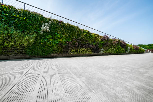 wall decorated with the plants - garden decoration stock pictures, royalty-free photos & images