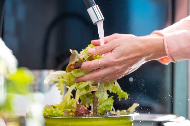washing lettuce under the faucet in kitchen sink - food stock pictures, royalty-free photos & images