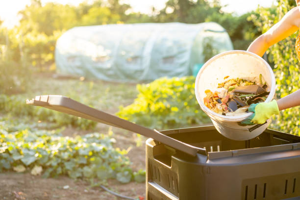 waste management in a vegetable garden - food stock pictures, royalty-free photos & images