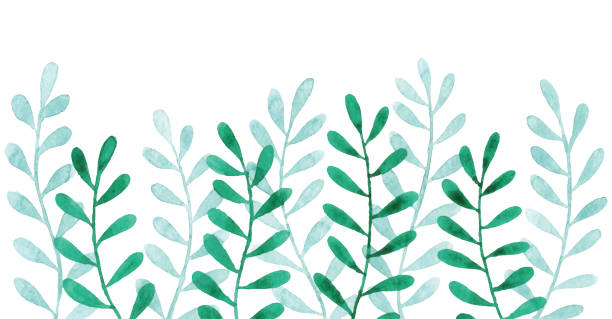 watercolor background with green branches - garden decoration stock illustrations