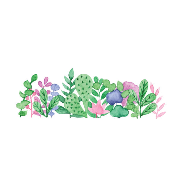 watercolor spring plants ornament horizontal - garden decoration stock illustrations