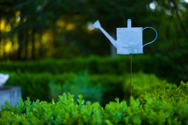 watering can, decoration, sign or symbol in a herbal and vegetable garden - garden decoration stock pictures, royalty-free photos & images