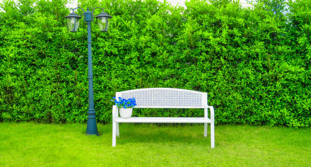 white bench with the bush background. white chair in the park. relaxation concept in the garden in morning time - garden decoration stock pictures, royalty-free photos & images