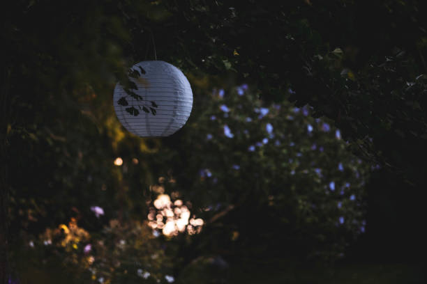 white lampion hanging on tree in garden. - garden decoration stock pictures, royalty-free photos & images