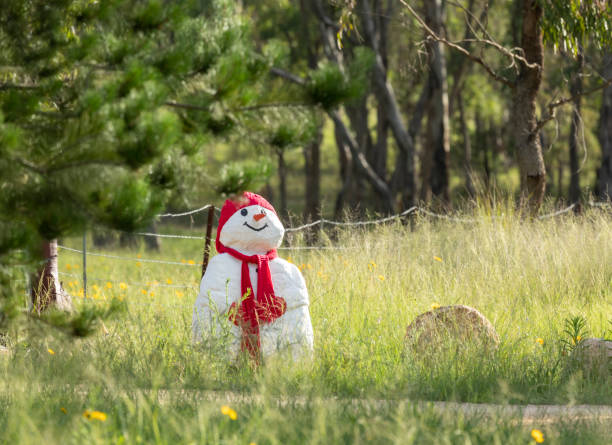 white snowman with a carrot nose, red hat and red scarf in a lush green garden in australia - garden decoration stock pictures, royalty-free photos & images
