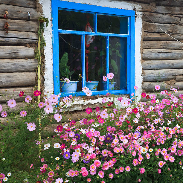 window - garden decoration stock pictures, royalty-free photos & images