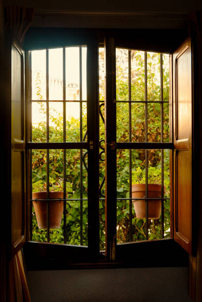 window with plant pots, garden in the background - garden decoration stockfoto's en -beelden