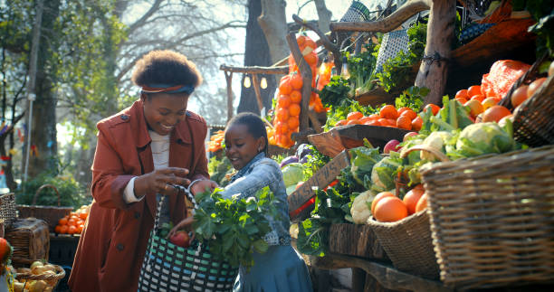 woman, child and grocery shopping at market of vegetables, choice and ingredients of healthy food. smile, family and basket with organic decision, nutrition product and bonding together for meal prep - food stock pictures, ro