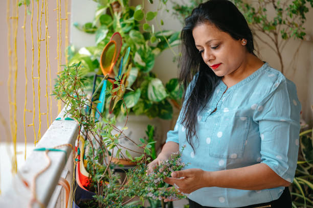 woman decorating her balcony using green potted plants. - garden decoration stock pictures, royalty-free photos & images