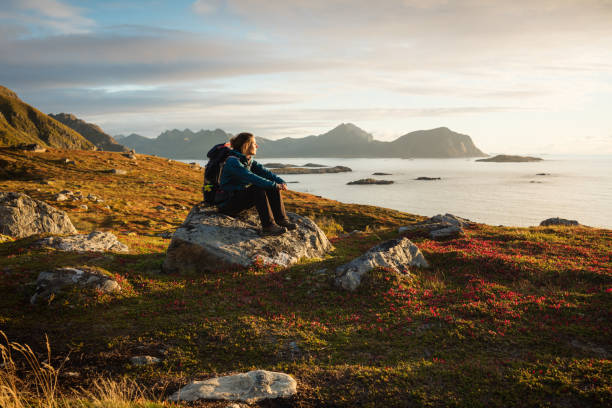 woman enjoys the norwegian countryside - travel stock pictures, royalty-free photos & images