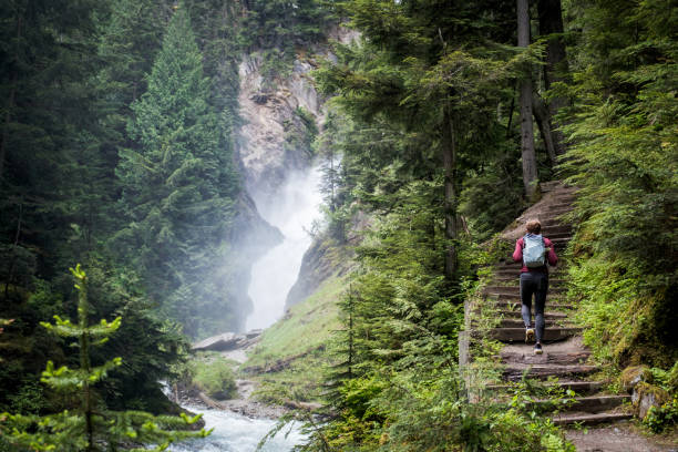 woman hiking in a lush green forest near a flowing river - travel stock pictures, royalty-free photos & images