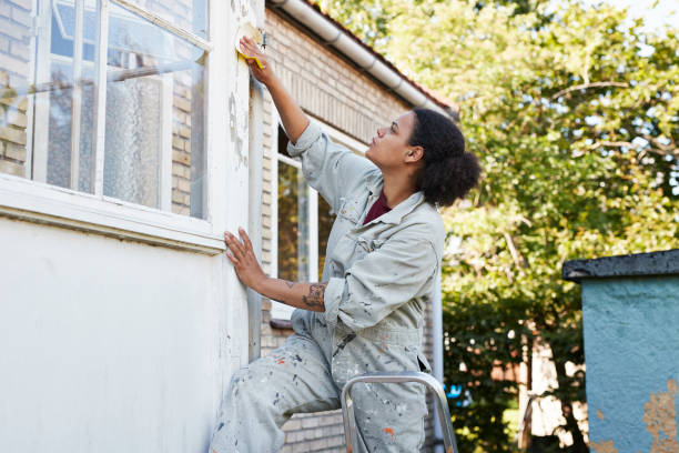 woman scraping wall during home renovation - home decoration stock pictures, royalty-free photos & images