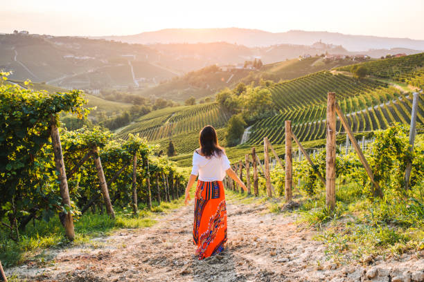 woman walking in vineyards enjoying the sunset, langhe region, piedmont, italy. unesco site - travel stock pictures, royalty-free photos & images