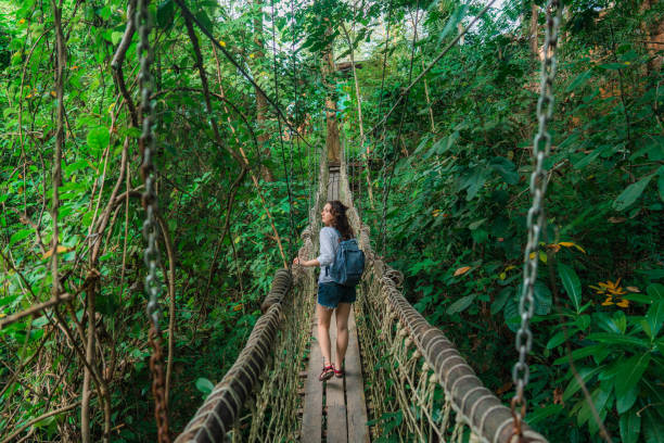 woman walking on rope bridge in lush jungles a - travel stock pictures, royalty-free photos & images