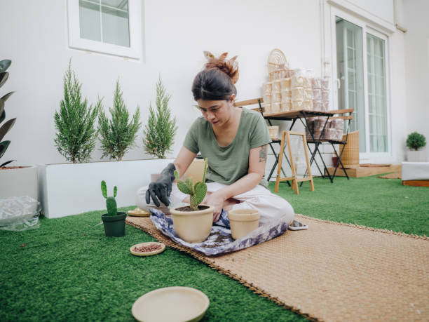 women planting tree. - garden decoration stock pictures, royalty-free photos & images