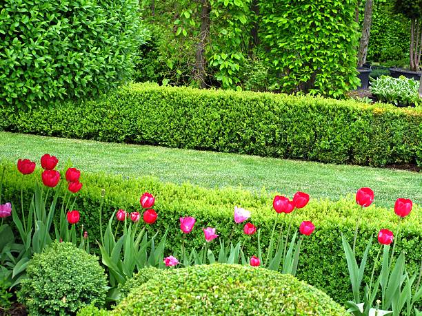 wonderful garden in springtime - garden decoration stock pictures, royalty-free photos & images