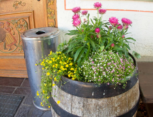 wood barrel flower display - garden decoration stock pictures, royalty-free photos & images