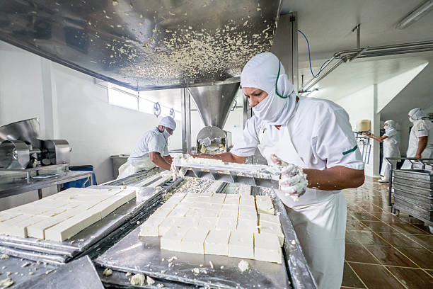 worker at a dairy factory - food stock pictures, royalty-free photos & images