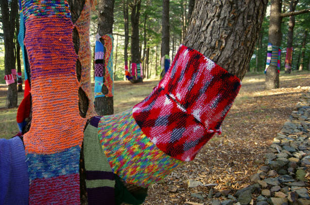 yarn bombing on a tree at the national arboretum, canberra, australian capital territory, australia - garden decoration stock pictures, royalty-free photos & images