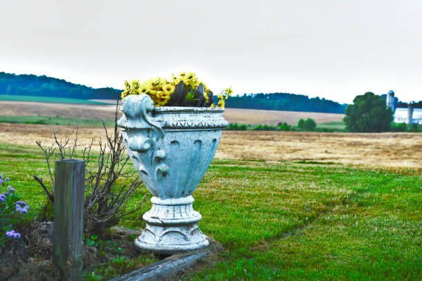 yellow flowers in a white flower pot - garden decoration stock pictures, royalty-free photos & images