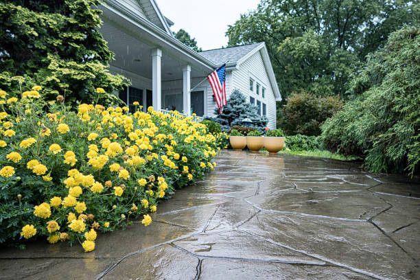 yellow marigold flower border on rain drenched home walkway - garden decoration stock pictures, royalty-free photos & images