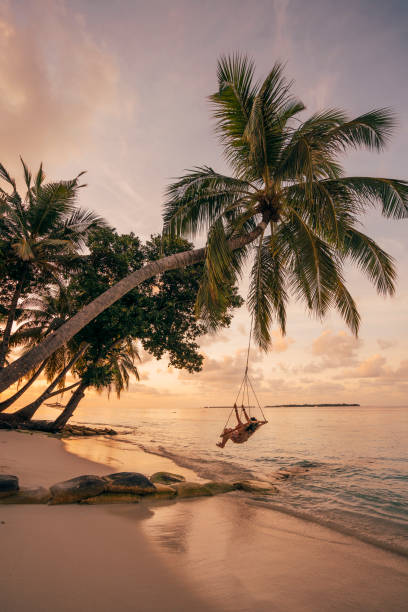 young adult woman relaxing on a swing in a tropical paradise - travel stock pictures, royalty-free photos & images