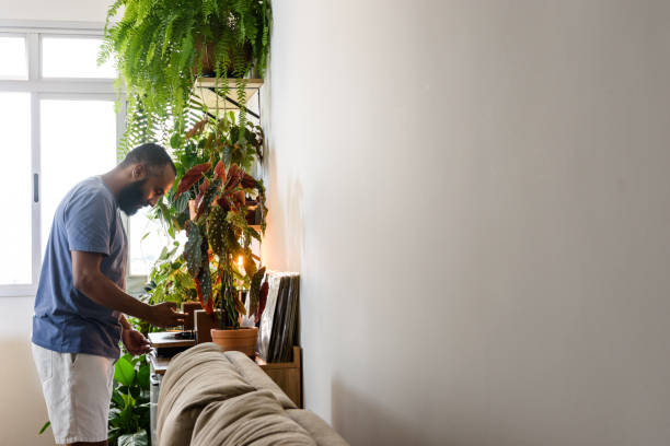 young black man listening to vinyl music at home - garden decoration stock pictures, royalty-free photos & images