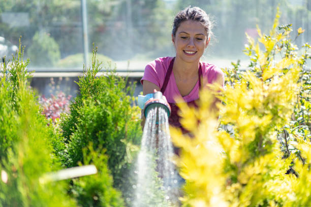 young florist watering the flower pots - garden decoration stock pictures, royalty-free photos & images
