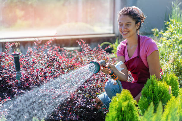 young florist watering the flowers and bushes - garden decoration stock pictures, royalty-free photos & images