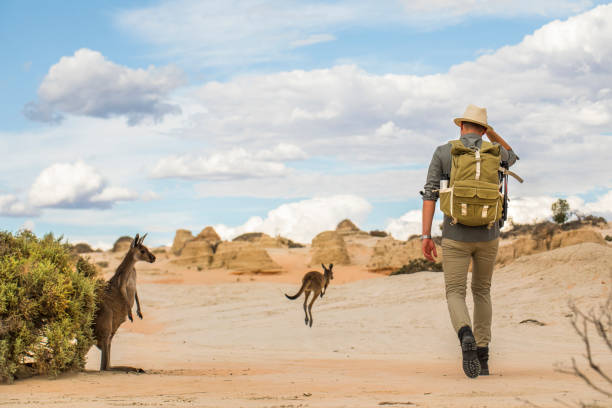 young man walking in arid desert landscape with photography backpack on an adventure in outback australia - travel stock pictures, royalty-free photos & images