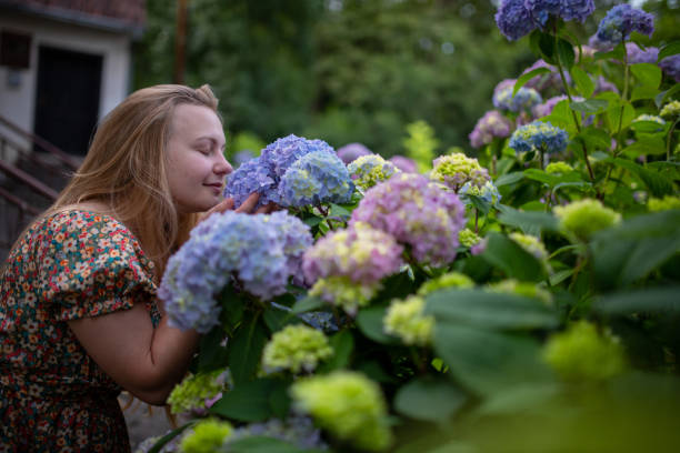 young woman smelling colorful flowers in the garden - garden decoration stock pictures, royalty-free photos & images