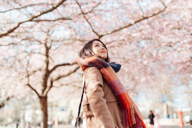 young woman walking under cherry blossoms trees in park - travel stock pictures, royalty-free photos & images