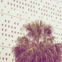 3 - garden decoration stock pictures, royalty-free photos & images