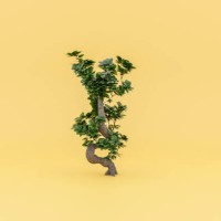 3d of monstera deliciosa on yellow background - garden decoration stockfoto's en -beelden