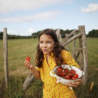a 8 years old girl eating tomatoes in the countryside - food stockfoto's en -beelden