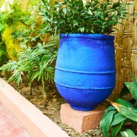 a beautiful large blue pot on a concrete block with a planted plant decorating a corridor with more plants in a row. - garden decoration stock pictures, royalty-free photos & images