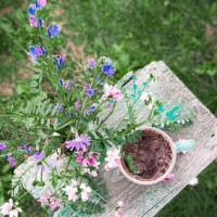 a bouquet of multicolored wildflowers in a small green vase stands on a wooden bench, next to a coffee mug. against the background of a green summer garden - garden decoration stock pictures, royalty-free photos & images