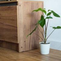 a bright living room with a houseplant. green leaves of a flower in a pot, against a white wall, at home or in the office. beautiful stylish modern design, minimalism. natural background. screen saver or wallpaper on the phon