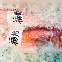 a bright red fish placed in ice for sale in a fish market. - food stockfoto's en -beelden