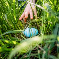 a child's hand reaching for an easter egg. - garden decoration stock pictures, royalty-free photos & images