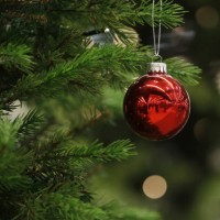 a christmas bauble hangs from a tree - home decoration stock pictures, royalty-free photos & images