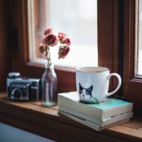 a cup of tea on books with dried roses on a window sill - home decoration photos et images de collection