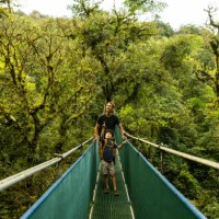 a father and son hiking across a suspension bridge in costa rica. - travel stock-fotos und bilder