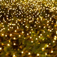 a festival of lights in the park celebrates christmas and new year. abstract illuminated light festival background - garden decoration stock pictures, royalty-free photos & images
