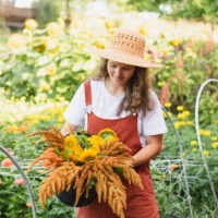 a flower farmer carrying a fall flower bouquet from her cut flow - garden decoration stock pictures, royalty-free photos & images
